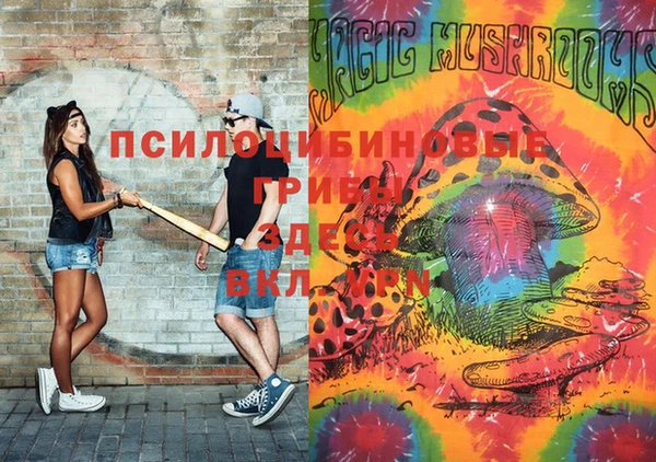 прущие крисы Козловка