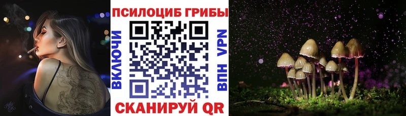 купить наркотики сайты  Нариманов  Псилоцибиновые грибы прущие грибы 