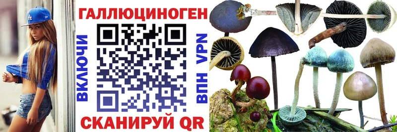 Галлюциногенные грибы Psilocybine cubensis Нариманов
